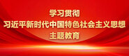 男人操女人的网站学习贯彻习近平新时代中国特色社会主义思想主题教育_fororder_ad-371X160(2)